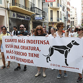 Concentraciones en toda España por la salud animal y la salud pública