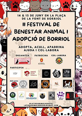 Borriol celebra el II Festival de Benestar Animal y Adopción este fin de semana