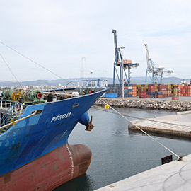 PortCastelló aumenta en tráfico hasta mayo un 4,1%