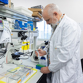 La Universitat Jaume I y Semicrol, S.L. transforman la investigación científica con la reutilización de muestras biológicas