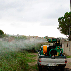 Castellón intensifica el plan de choque contra las plagas de mosquitos reforzando las actuaciones en el Grao