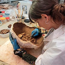 Una veintena de estudiantes internacionales se forma en técnicas arqueológicas en la villa romana de Sant Gregori en Burriana