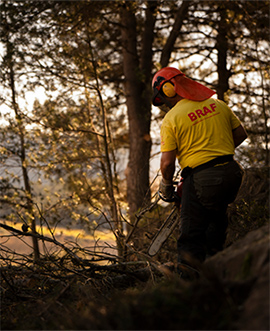 Las Brigadas Rurales de Actuación Forestal de la Diputación de Castellón, claves en la prevención de incendios en la provincia