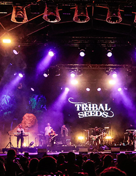 Entre raíces y futuro: Marcia Griffiths y Koffee marcan el jueves un mismo pulso reggae en Rototom Sunsplash