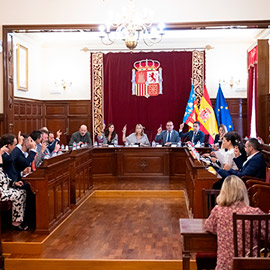 La Diputación refuerza su defensa de la agricultura, el aeropuerto como motor económico y las Islas Columbretes