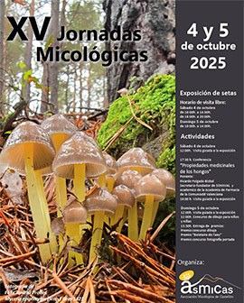 XV Jornadas Micológicas en el Espai Cultural Moruno