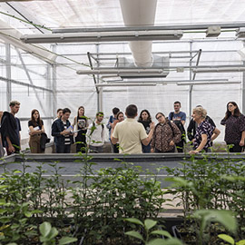 La Cátedra FACSA-UJI y la Fundación Síndrome de Down impulsan un programa formativo para mejorar la empleabilidad de personas con discapacidad intelectual