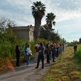 La Cátedra de Arquitectura Circular de la UJI impulsa soluciones resilientes para la Marjalería de Castellón en su cuarta maratón