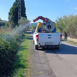 La Diputación de Castellón continúa reforzando las actuaciones de control, vigilancia y fumigación de mosquitos en la provincia tras las últimas lluvias