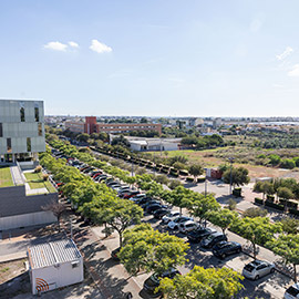 La Universitat Jaume I proyecta un edificio en el campus de alojamientos de alquiler asequible para el colectivo universitario