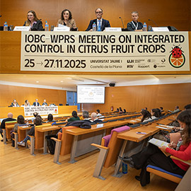 La IOBC-WPRS reúne en Castellón a investigadores en control biológico y sanidad citrícola
