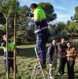 Onda suma una nueva zona verde de la mano de Sanitas con 78 árboles que conectarán la ciudad con El Carmen