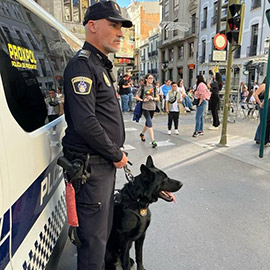 Castellón prepara un dispositivo especial de seguridad para la Nochevieja