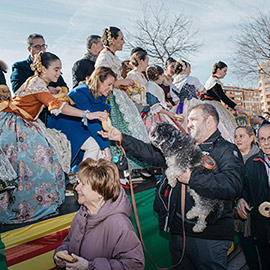 Castellón se prepara para celebrar la tradicional fiesta de Sant Antoni el domingo 18 de enero