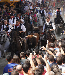 La sexta entrada de toros y caballos de Segorbe. Fotos del recorrido y del ambiente.