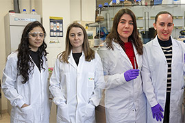 La UJI y la UV crean un material que convierte CO₂ en compuestos de alto valor añadido