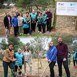 Onda amplía sus espacios verdes en El Carmen con 88 nuevos árboles