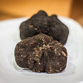 El mercado de la trufa llega a Morella los días 7 y 8 de febrero