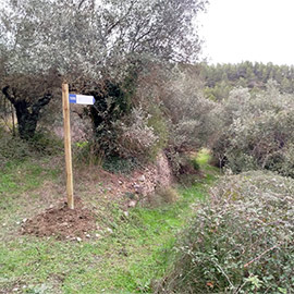 Montán impulsa las rutas saludables y la mejora del entorno natural