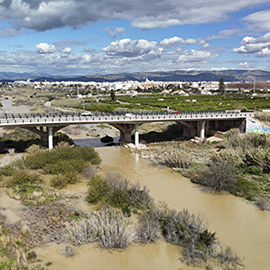 346.000 euros para la retirada de caña invasora a lo largo de todo el curso fluvial del Mijares en la provincia de Castellón