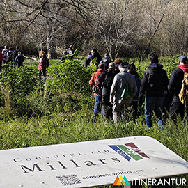 Nueva ruta interpretativa de 10 kilómetros desde la desembocadura del río Mijares hasta Santa Quiteria