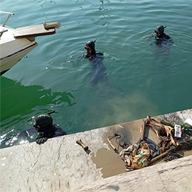 PortCastelló promueve una iniciativa medioambiental destinada a preservar la microrreserva de flora de la playa del Serradal