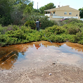 Benicàssim activa más control del mosquito tigre tras las lluvias y el calor previsto