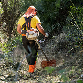 La Diputación de Castellón refuerza la protección de los montes con las Brigadas Rurales de Actuación Forestal