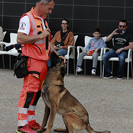 Gran participación en el XI Festival de la Adopción y el VII JOC Fest