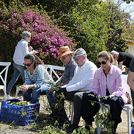 La tradicional Enramà marca el inicio de los preparativos para la Fiesta Mayor de la Mare de Déu del Lledó