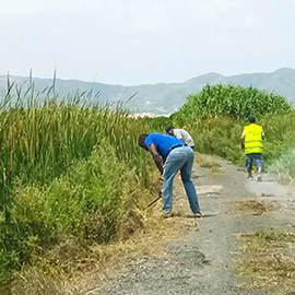 El Ayuntamiento de Almenara impulsará la contratación de 20 personas a través del programa de empleo agrario
