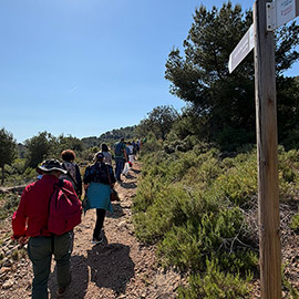 Almenara presenta su programación de rutas y visitas guiadas para los meses de junio a septiembre