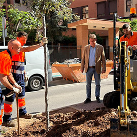 Renaturalización de Castellón con 2.145 árboles y nuevas plantaciones
