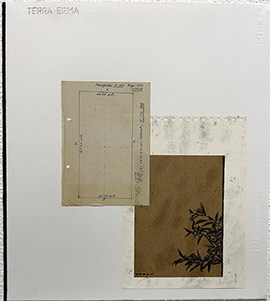 Terra erma, exposición de Vicent Carda en el Museo de Bellas Artes de Castellón
