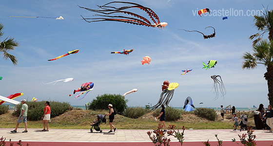 El Festival Internacional del Viento se consolida en Castellón con una tercera edición multitudinaria