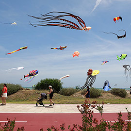 El Festival Internacional del Viento se consolida en Castellón con una tercera edición multitudinaria