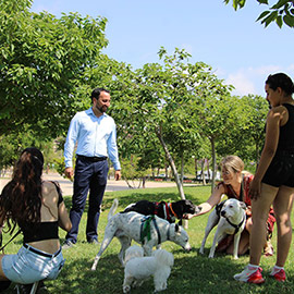 Nuevo recinto de esparcimiento canino junto al Palau de la Festa de Castellón