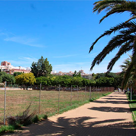 Castellón impulsa la limpieza de más de 115 parcelas municipales y privadas