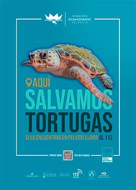 La costa española se alía este verano en defensa de las tortugas marinas