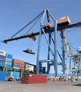 PortCastelló busca consolidar nuevas oportunidades de negocio en el Norte de África con una delegación a Egipto