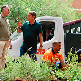 Castellón refuerza su renaturalización con 200 arbustos en la plaza de la Constitución