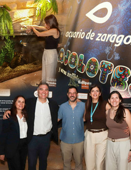 Global Omnium inicia una nueva etapa en el Acuario de Zaragoza con una instalación dedicada a la conservación de los anfibios