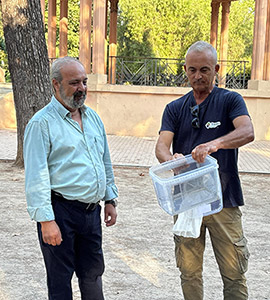 Castellón vuelve a aplicar la Técnica del Insecto Estéril para reforzar la lucha contra el mosquito tigre junto a la Conselleria