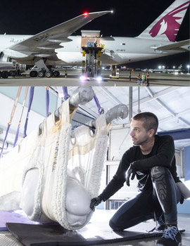 Dos belugas y cuatro delfines rescatados de Canadá llegan al Oceanogràfic de València