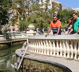 El Ayuntamiento inicia el vaciado y la limpieza integral del estanque del parque Ribalta