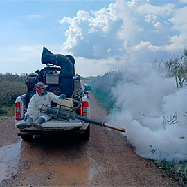 Benicàssim intensifica el control de mosquitos tras el episodio de lluvias