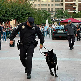 Castellón muestra el trabajo de los perros policía con una exhibición en la plaza Huerto Sogueros