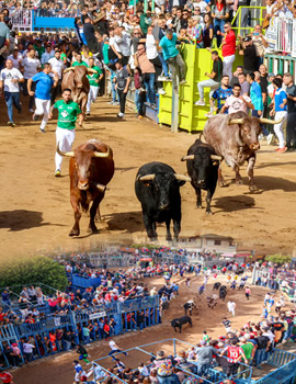 Onda reafirma su liderazgo taurino con el encierro de Veiga Teixeira patrocinado por Guarismo 2