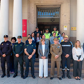 La Subdelegación del Gobierno en Castellón guarda un minuto de silencio en memoria de las víctimas del accidente ferroviario de Urda