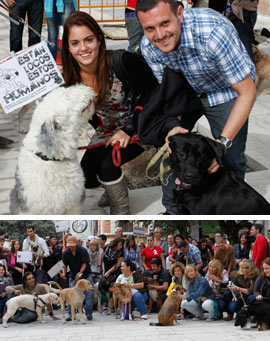 Muchos castellonenses reclaman espacios para sus mascotas